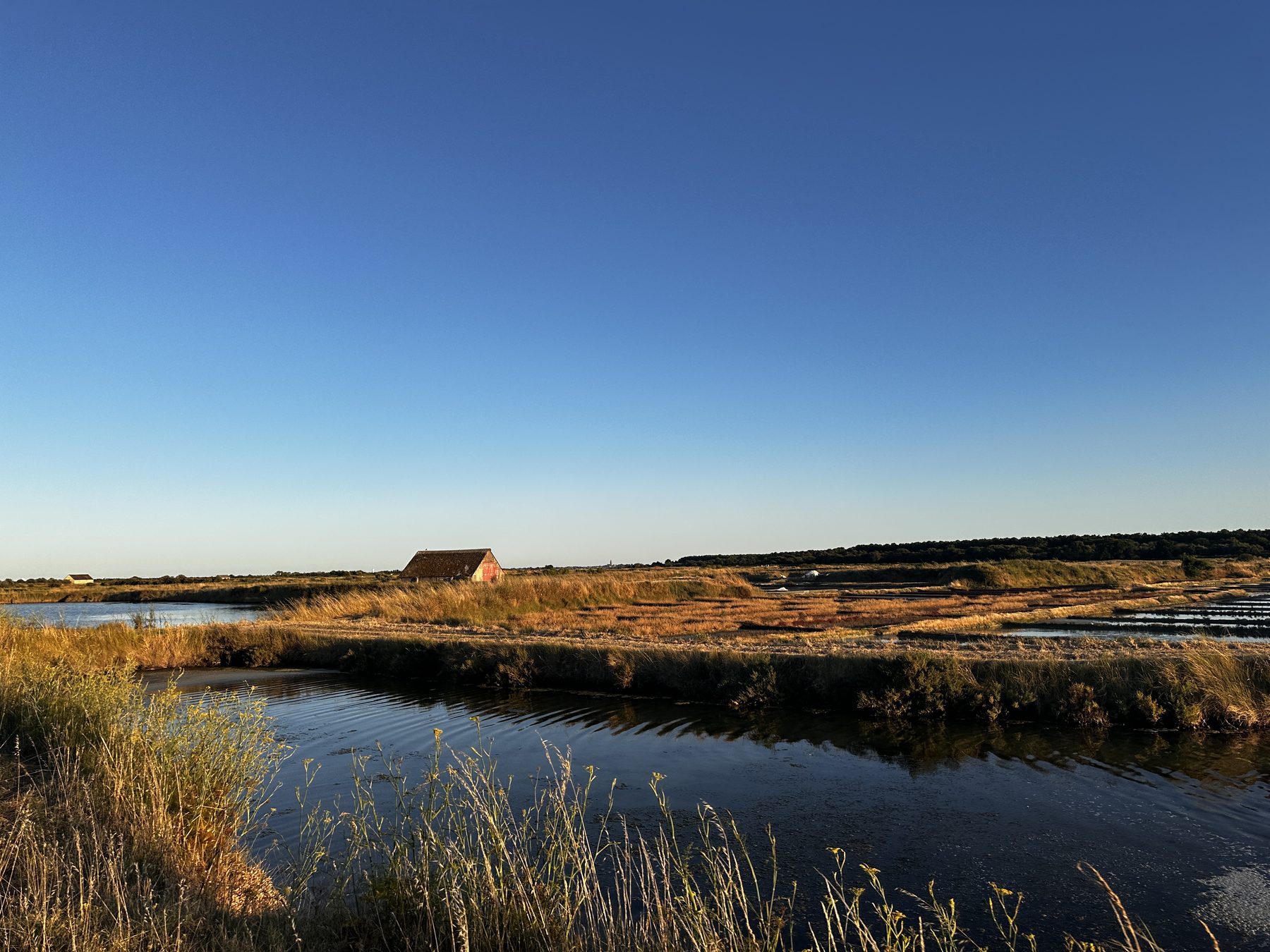 Marais salants de Guérande